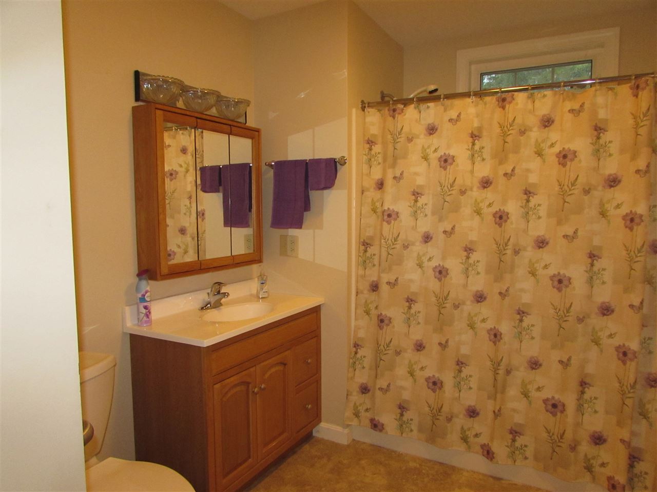 12 South Main Street Whiting, VT 05778 - Photo 7 of 21 Gallery Image 7