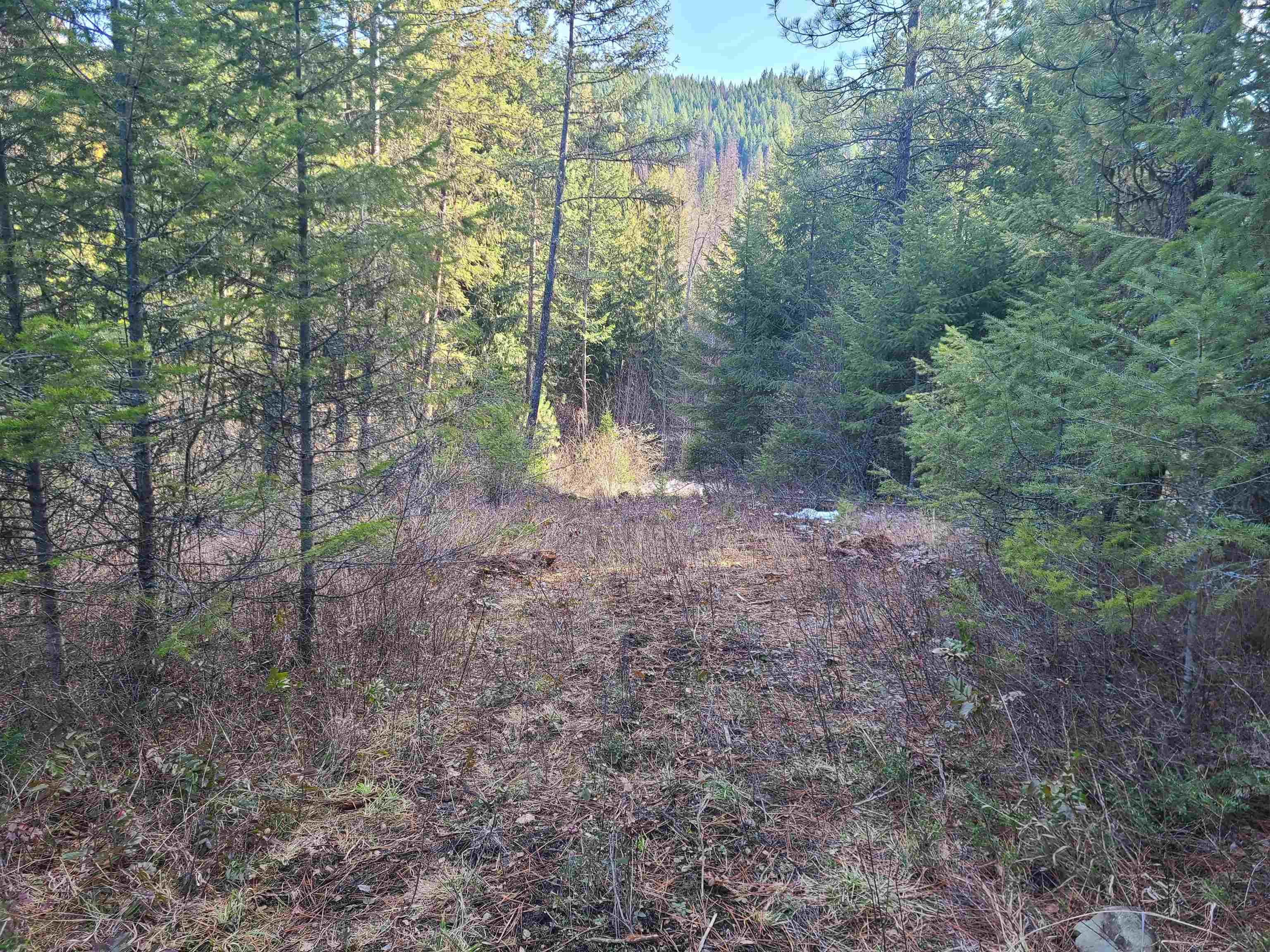 2584 F Bridgeman-Rettinger Road Kettle Falls, WA 99141 - Photo 20 of 21