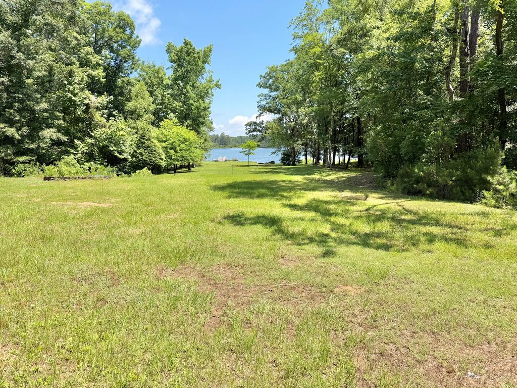 97 County Road 97 Abbeville, AL 36310 - Photo 8 of 15