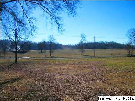 485 Savage Town Road Ragland, AL 35131 - Photo 28 of 32