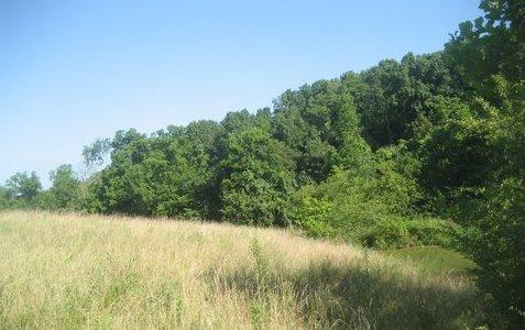 0 R Owens Road Charlotte, TN 37036 - Photo 11 of 20 Gallery Image 11