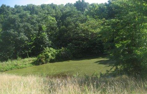 0 R Owens Road Charlotte, TN 37036 - Photo 12 of 20 Gallery Image 12