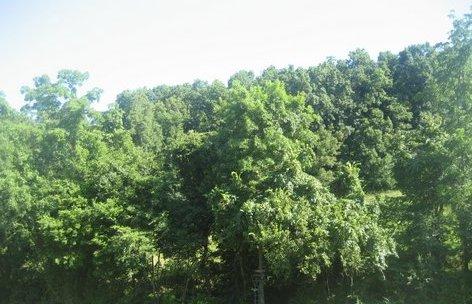 0 R Owens Road Charlotte, TN 37036 - Photo 13 of 20 Gallery Image 13
