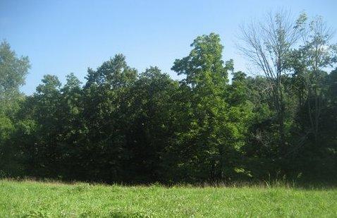 0 R Owens Road Charlotte, TN 37036 - Photo 14 of 20 Gallery Image 14