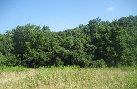 0 R Owens Road Charlotte, TN 37036 - Photo 16 of 20 Gallery Image 16