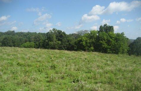 0 R Owens Road Charlotte, TN 37036 - Photo 17 of 20 Gallery Image 17
