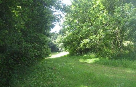 0 R Owens Road Charlotte, TN 37036 - Photo 19 of 20 Gallery Image 19