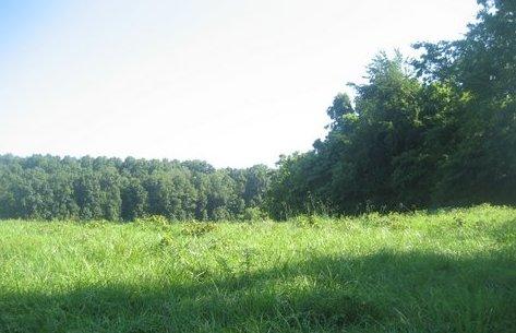 0 R Owens Road Charlotte, TN 37036 - Photo 9 of 20 Gallery Image 9
