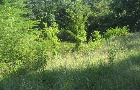 0 R Owens Road Charlotte, TN 37036 - Photo 10 of 20 Gallery Image 10