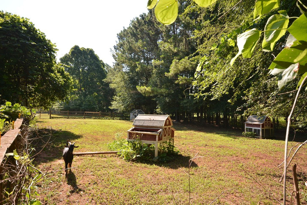 3539 Mistletoe Road Appling, GA 30802 - Photo 32 of 51