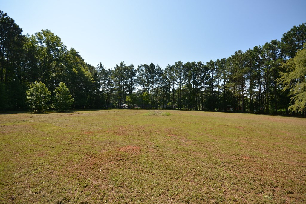 3539 Mistletoe Road Appling, GA 30802 - Photo 37 of 51