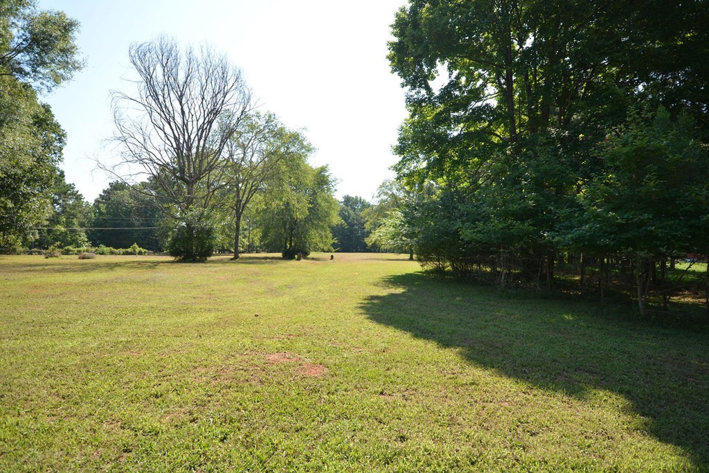 3539 Mistletoe Road Appling, GA 30802 - Photo 43 of 51