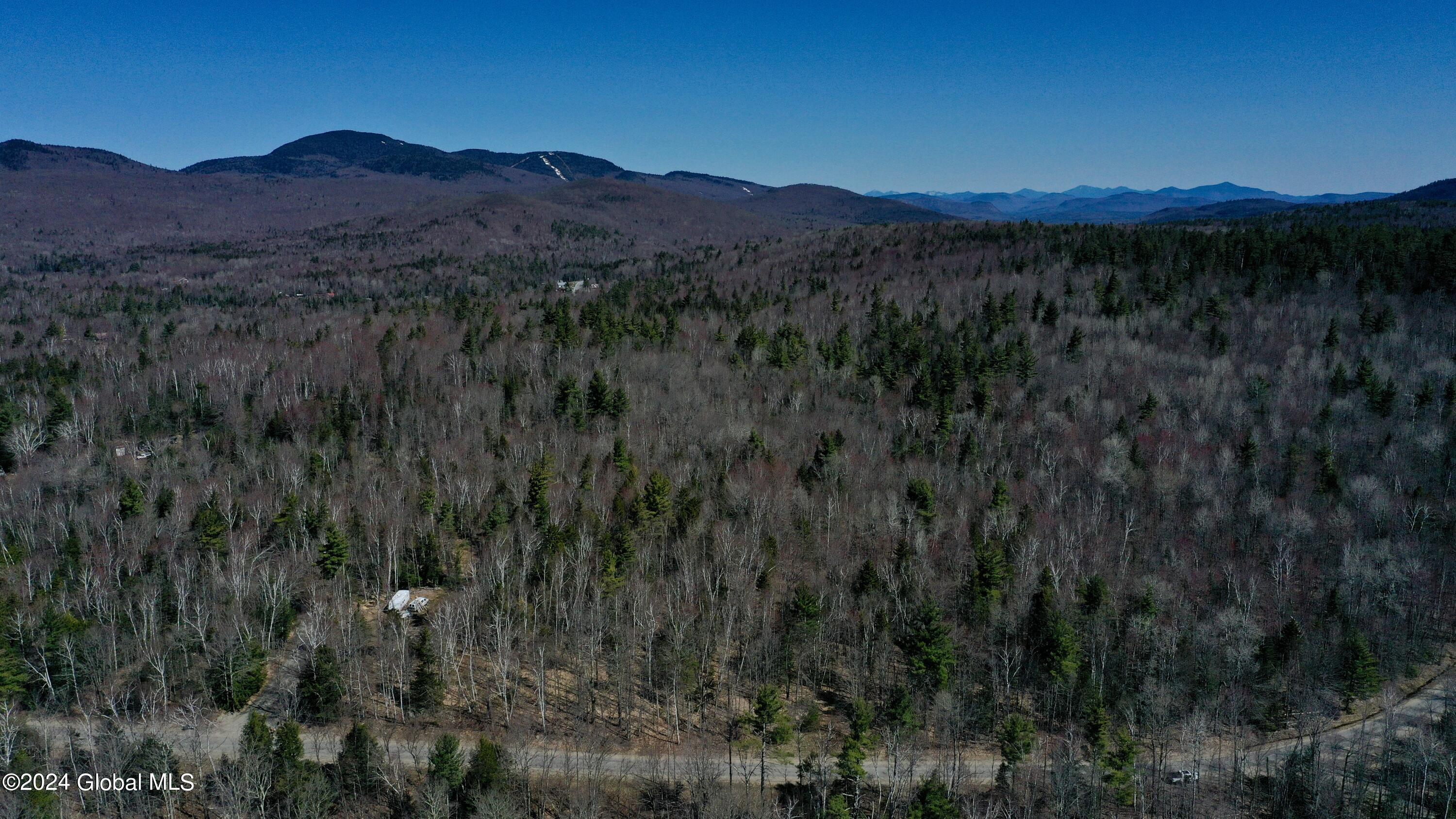 50 Goodman Road Johnsburg, NY 12843 - Photo 1 of 11 Aerial View