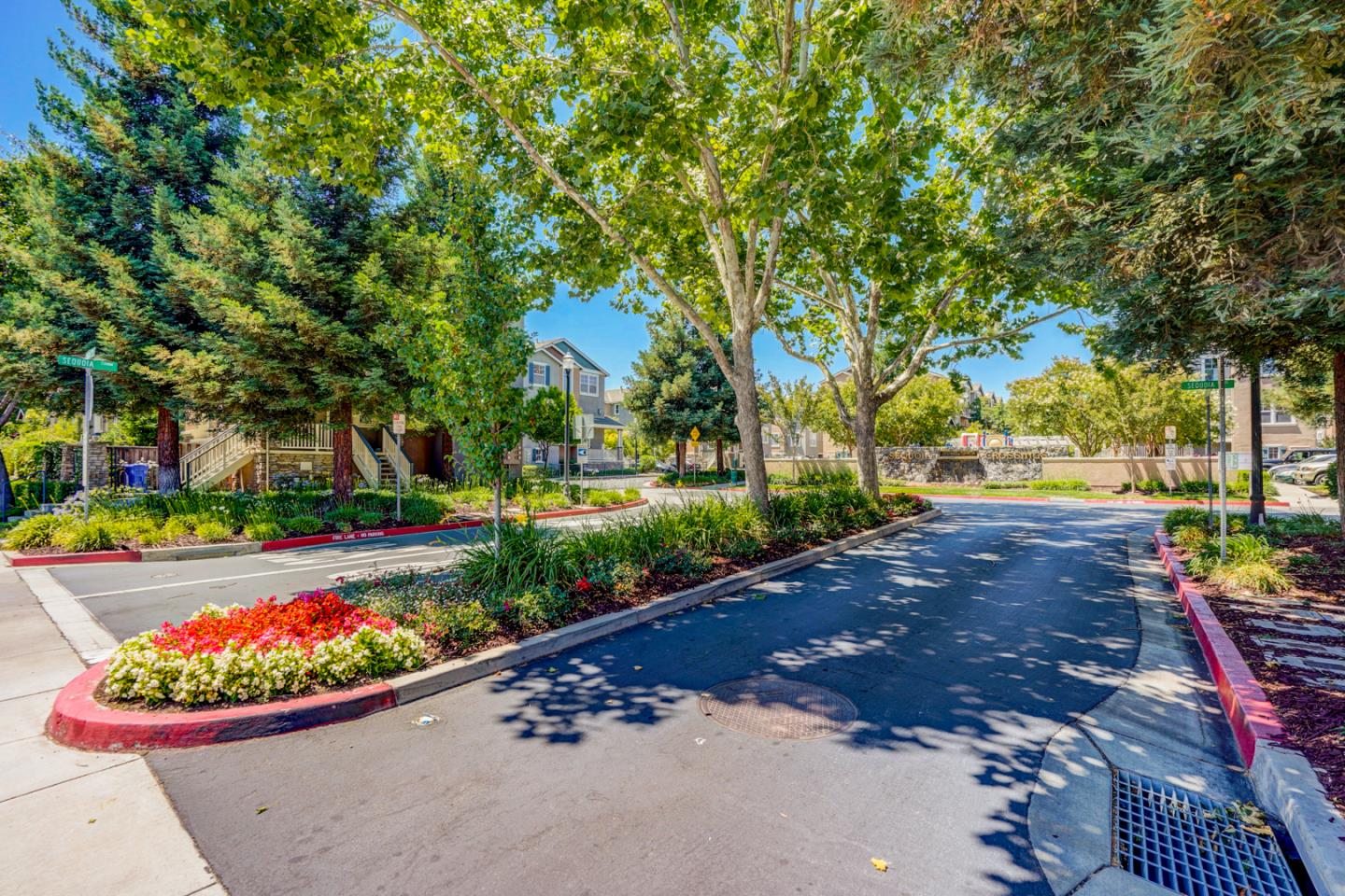 3546 Sequoia Common Fremont, CA 94536 - Photo 24 of 25 a view of a garden with a slide