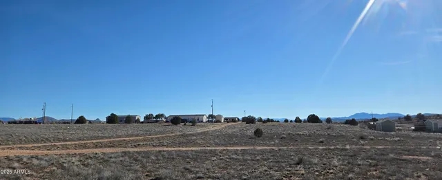 a view of a dry yard