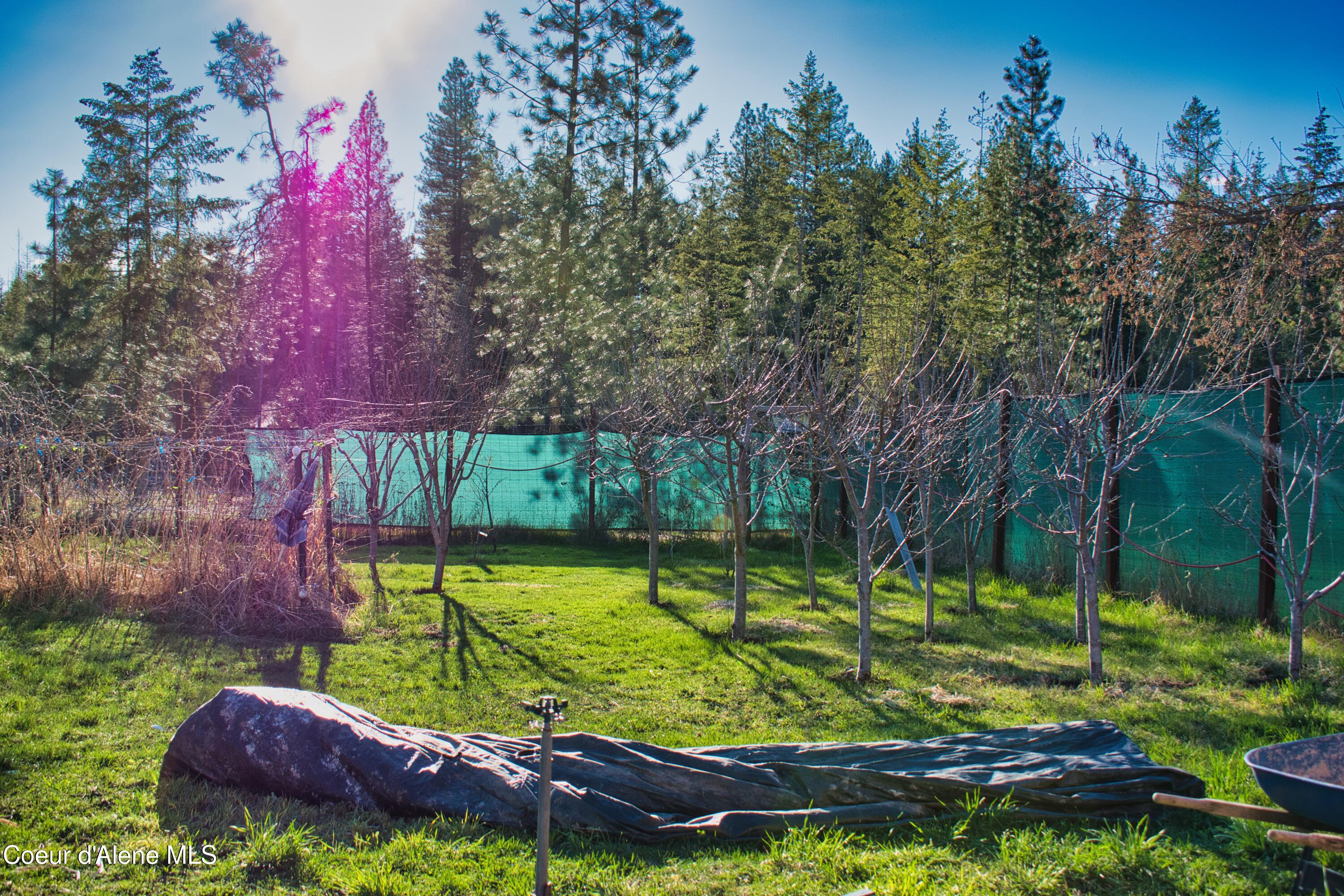 295 Glacier Road Bonners Ferry, ID 83805 - Photo 28 of 39 DSC_5678