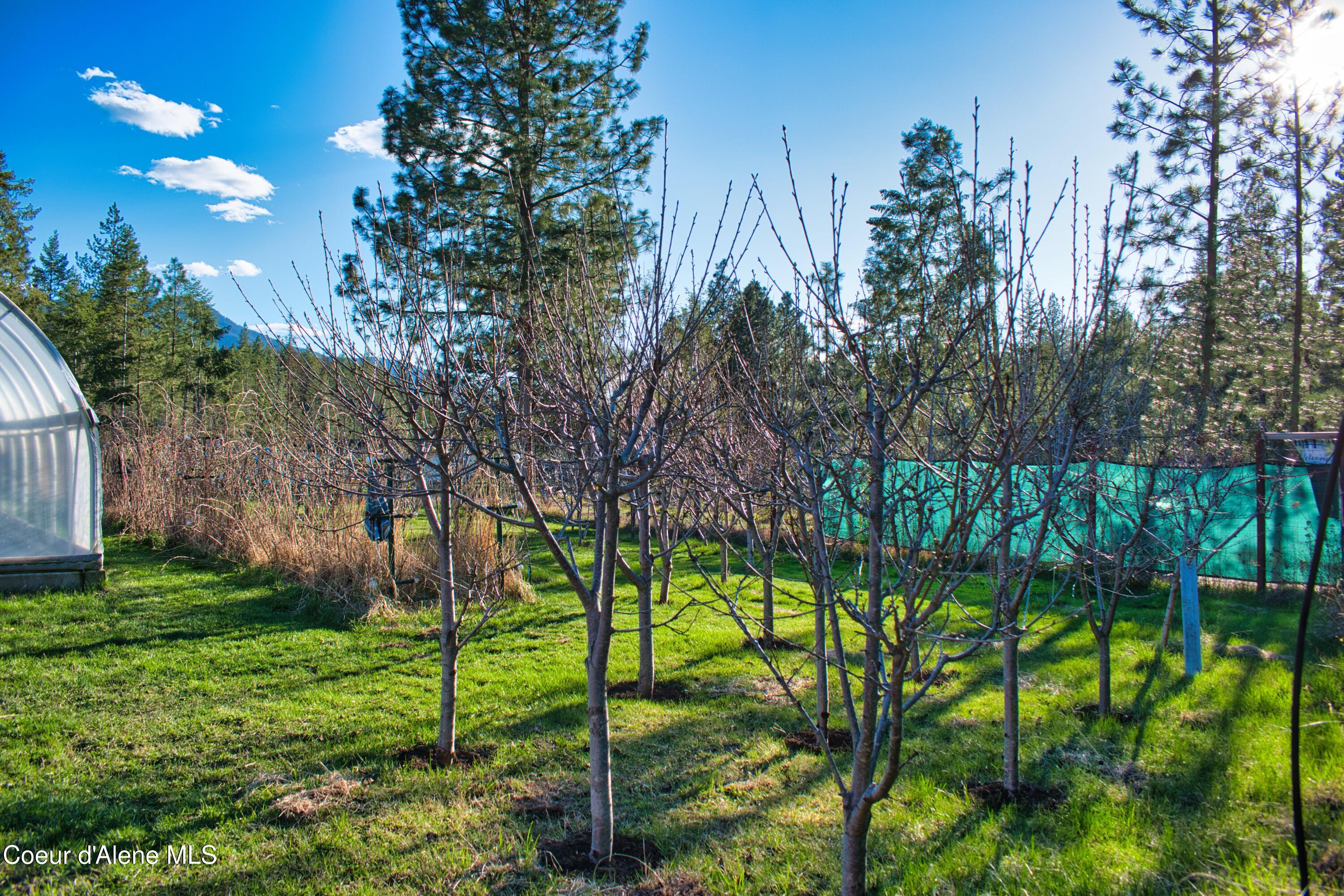 295 Glacier Road Bonners Ferry, ID 83805 - Photo 29 of 39 DSC_5680