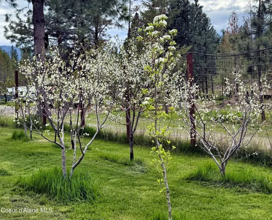 $625,000 | 295 Glacier Road, Bonners Ferry, ID 83805