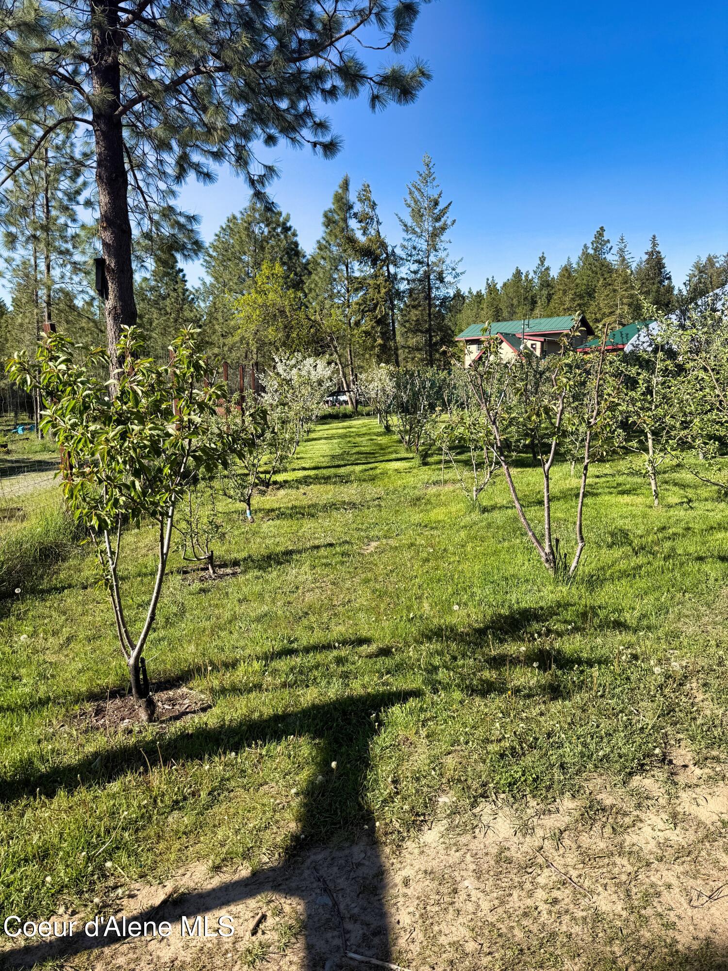 295 Glacier Road Bonners Ferry, ID 83805 - Photo 32 of 39 IMG_0460