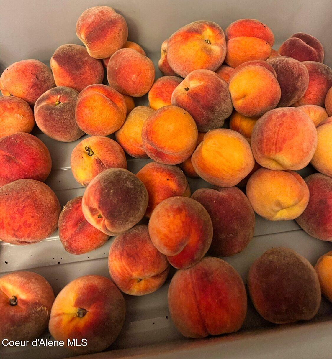 295 Glacier Road Bonners Ferry, ID 83805 - Photo 34 of 39 IMG_1215