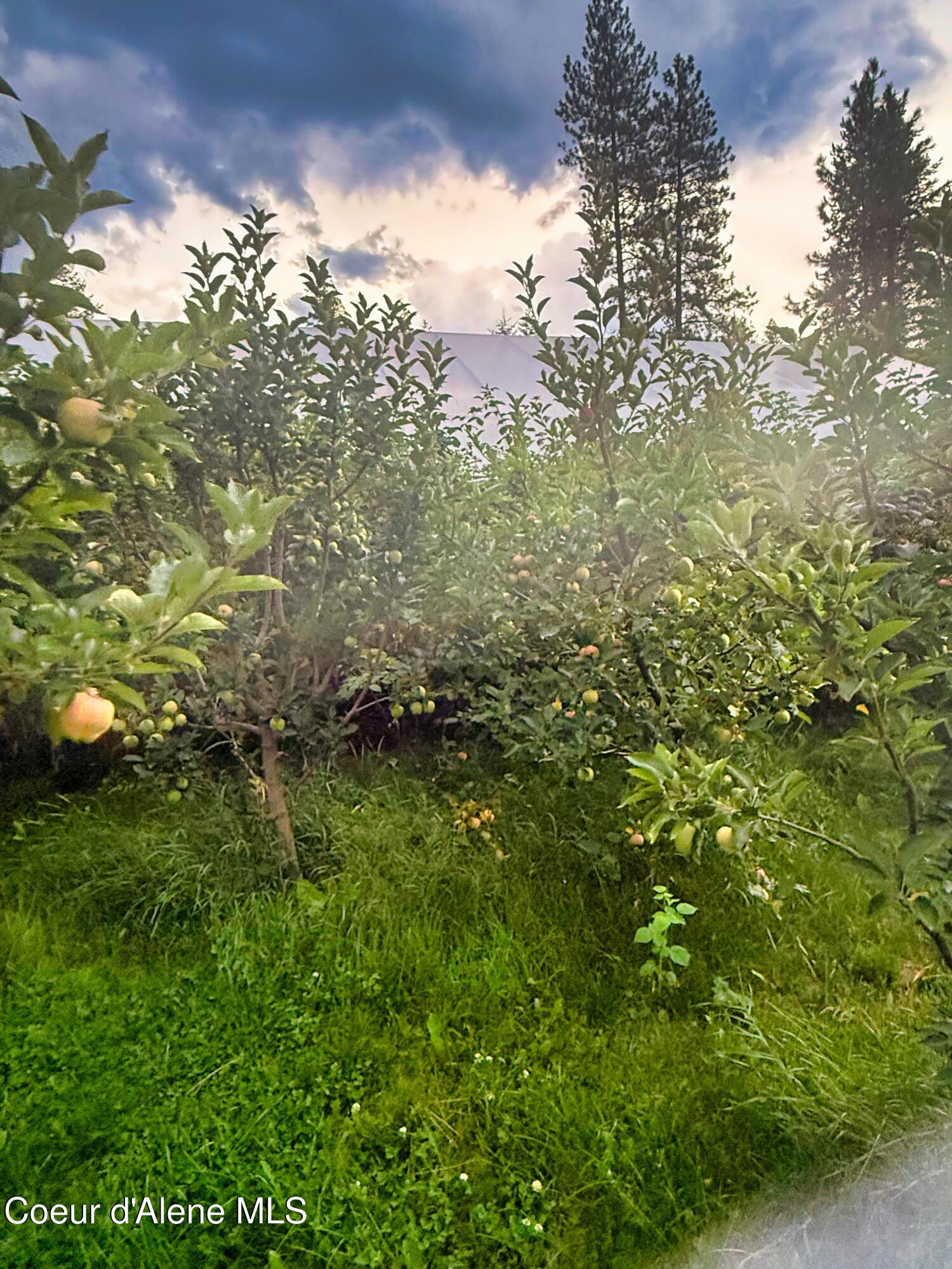 295 Glacier Road Bonners Ferry, ID 83805 - Photo 35 of 39 IMG_2212