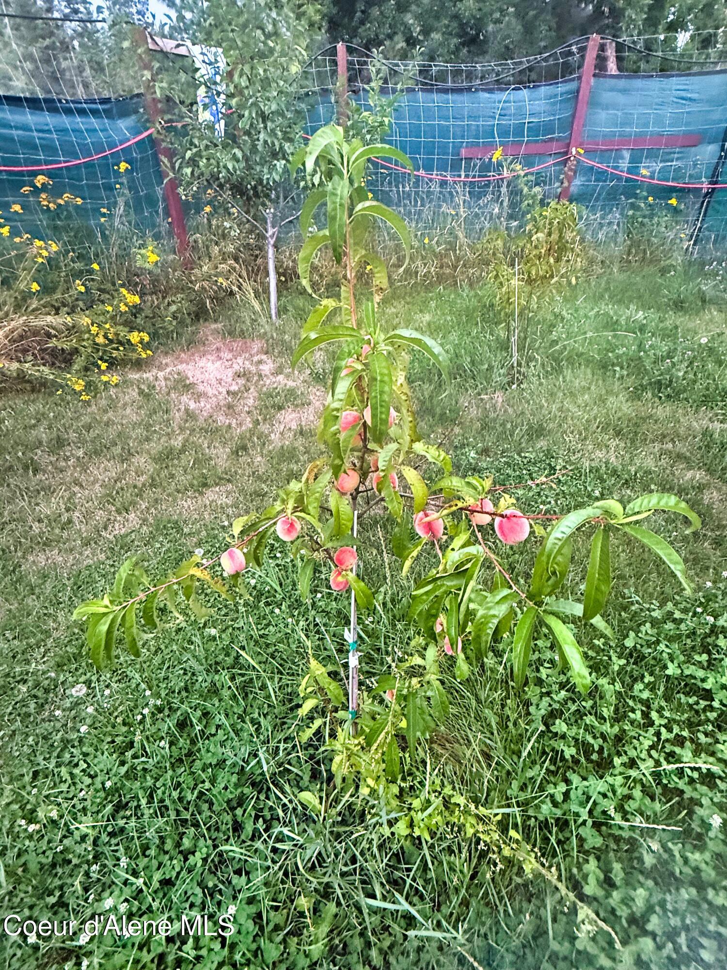 295 Glacier Road Bonners Ferry, ID 83805 - Photo 37 of 39 IMG_2214