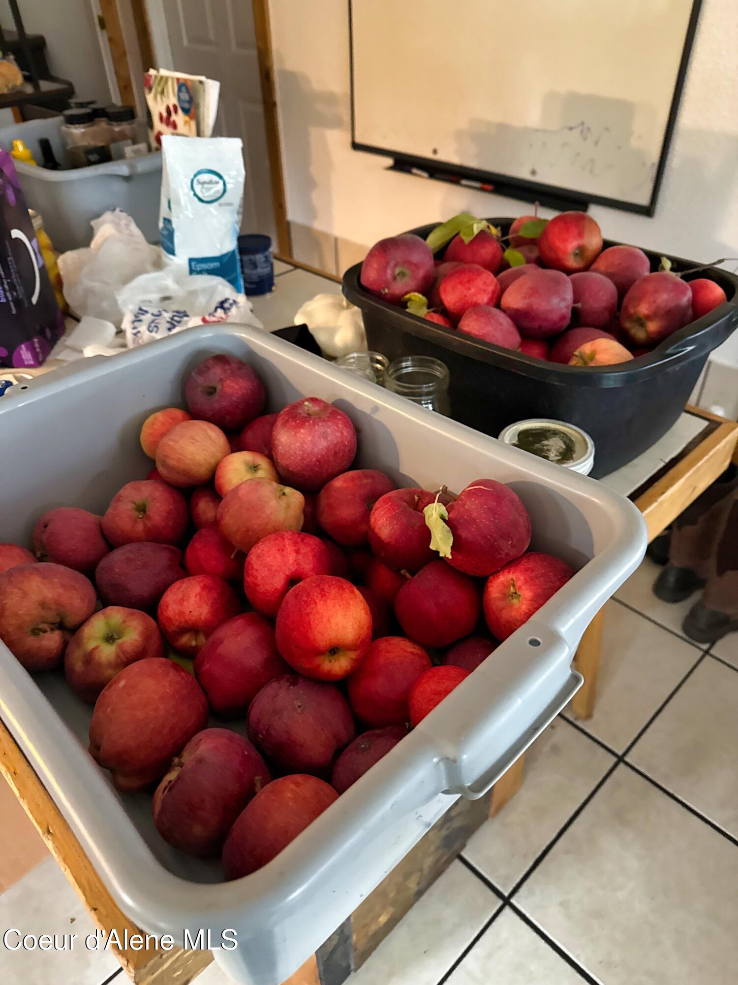 295 Glacier Road Bonners Ferry, ID 83805 - Photo 38 of 39 IMG_3972