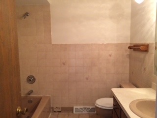 8714 Raintree Road Tinley Park, IL 60487 - Photo 6 of 13 a bathroom with a sink a toilet and a shower