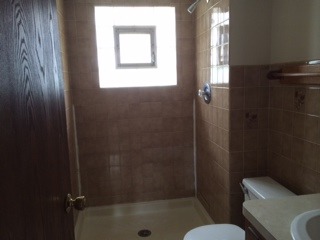 8714 Raintree Road Tinley Park, IL 60487 - Photo 8 of 13 a bathroom with a toilet and a shower