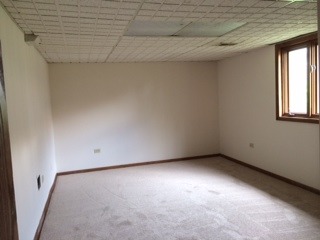 8714 Raintree Road Tinley Park, IL 60487 - Photo 9 of 13 a view of an empty room with a window
