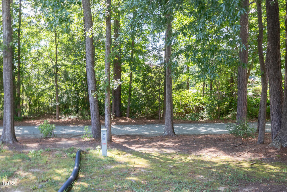 243 Schultz Street Chapel Hill, NC 27514 - Photo 18 of 21 a view of a forest with trees