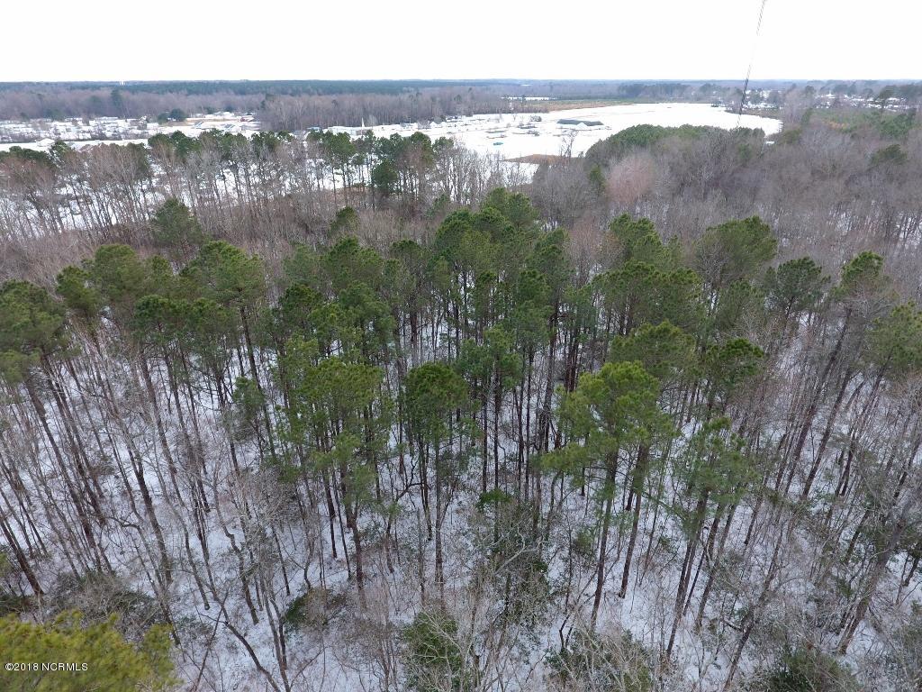 26.89 Bynum Farm Road Pinetops, NC 27864 - Photo 11 of 43 11 (1024x768)