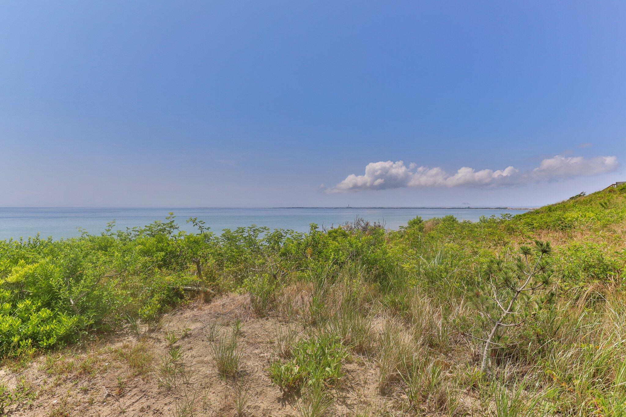 4 Bay View Path Truro, MA 02666 - Photo 52 of 71 a view of a bunch of trees and bushes