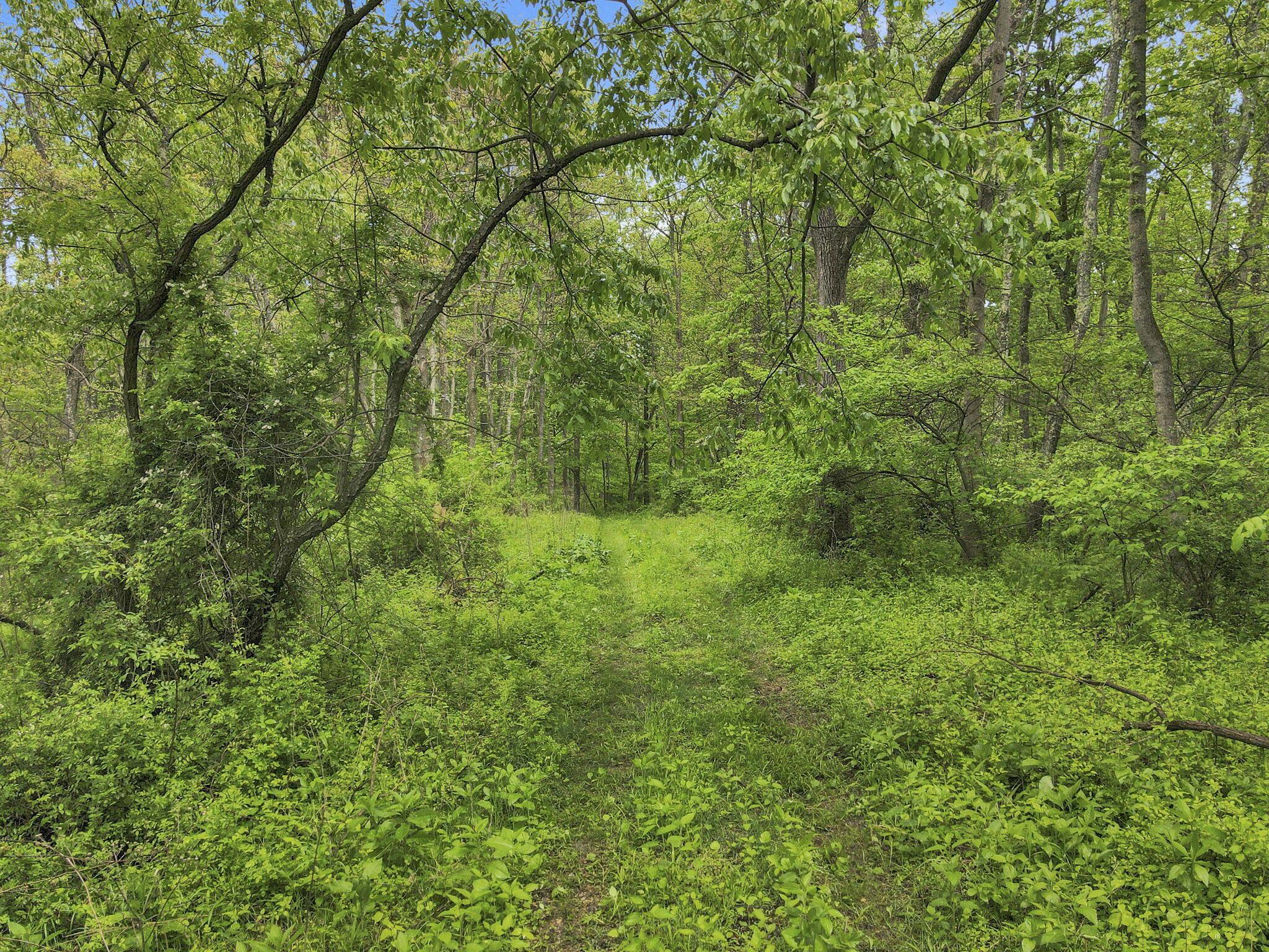 29500 Fairview Ridge Road Logan, OH 43138 - Photo 6 of 73 5-web-or-mls-DJI_0688