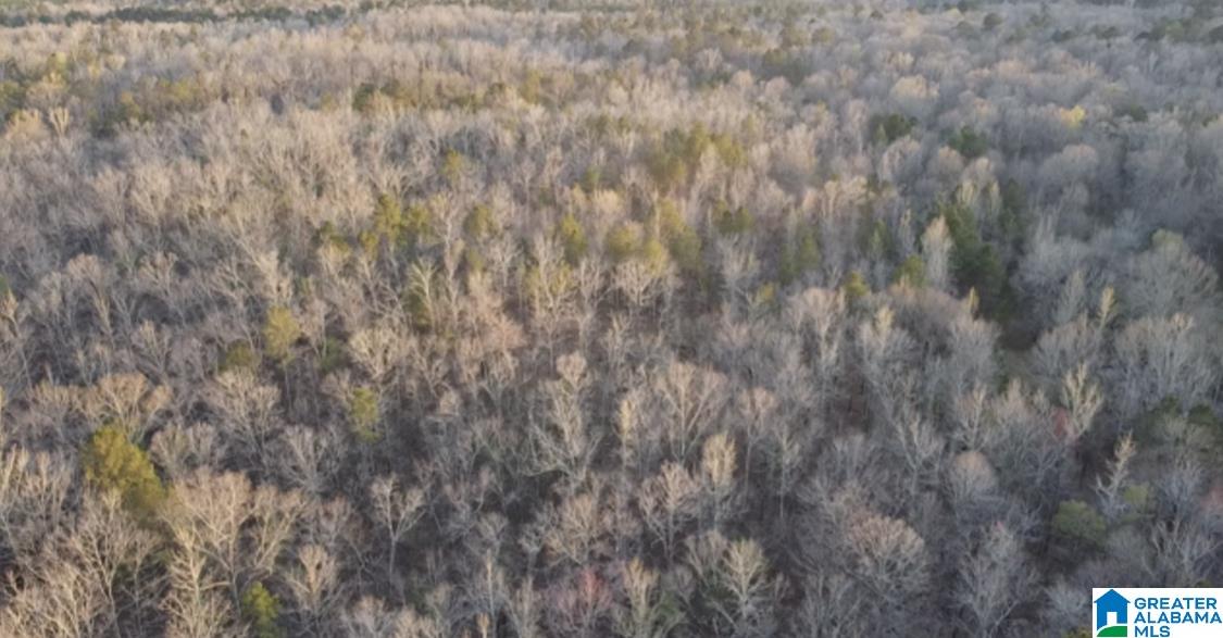 1837 Westover Road Sterrett, AL 35147 - Photo 10 of 14