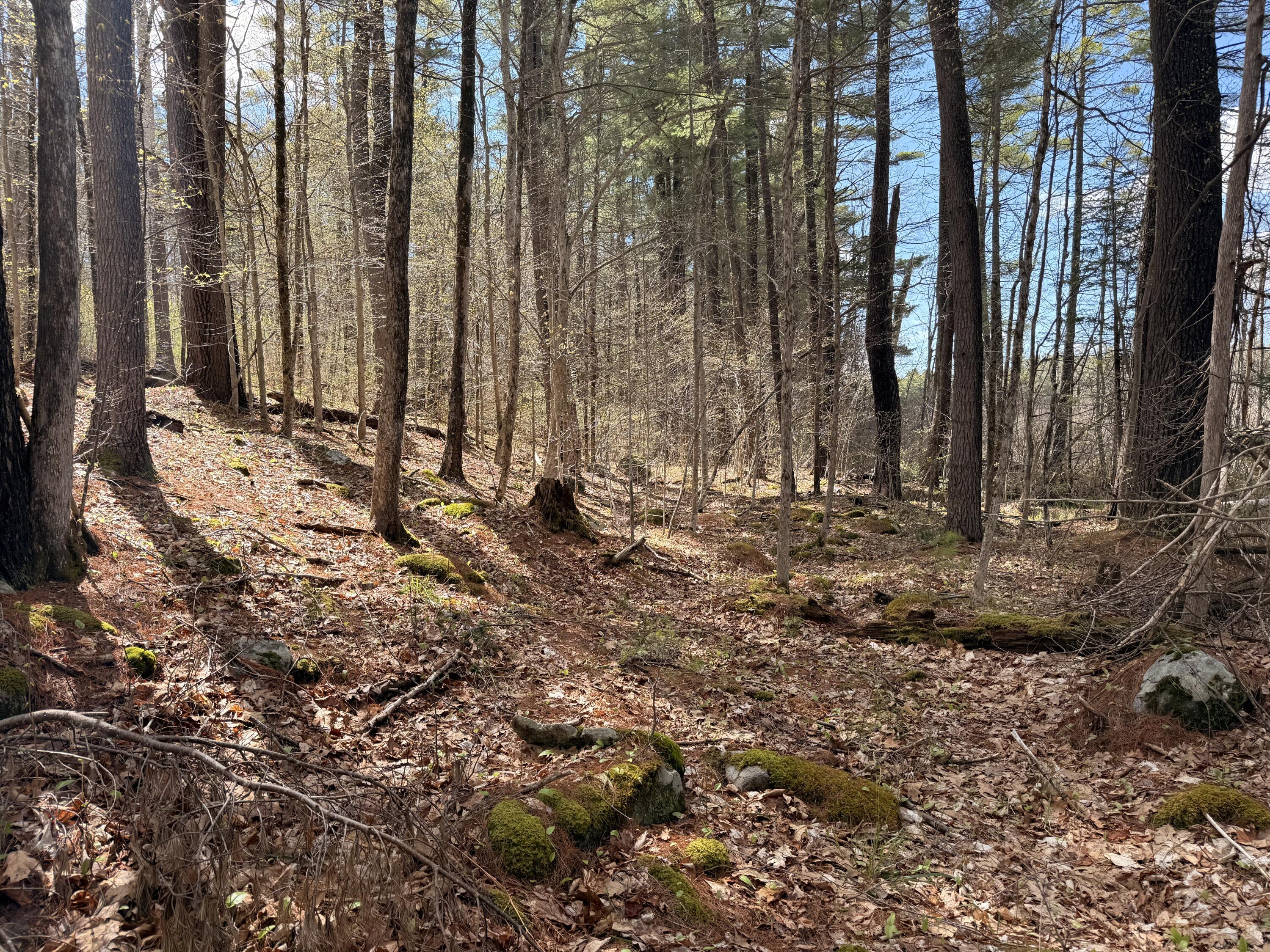 134 D Thurston Road Augusta, ME 04330 - Photo 13 of 20 IMG_0311