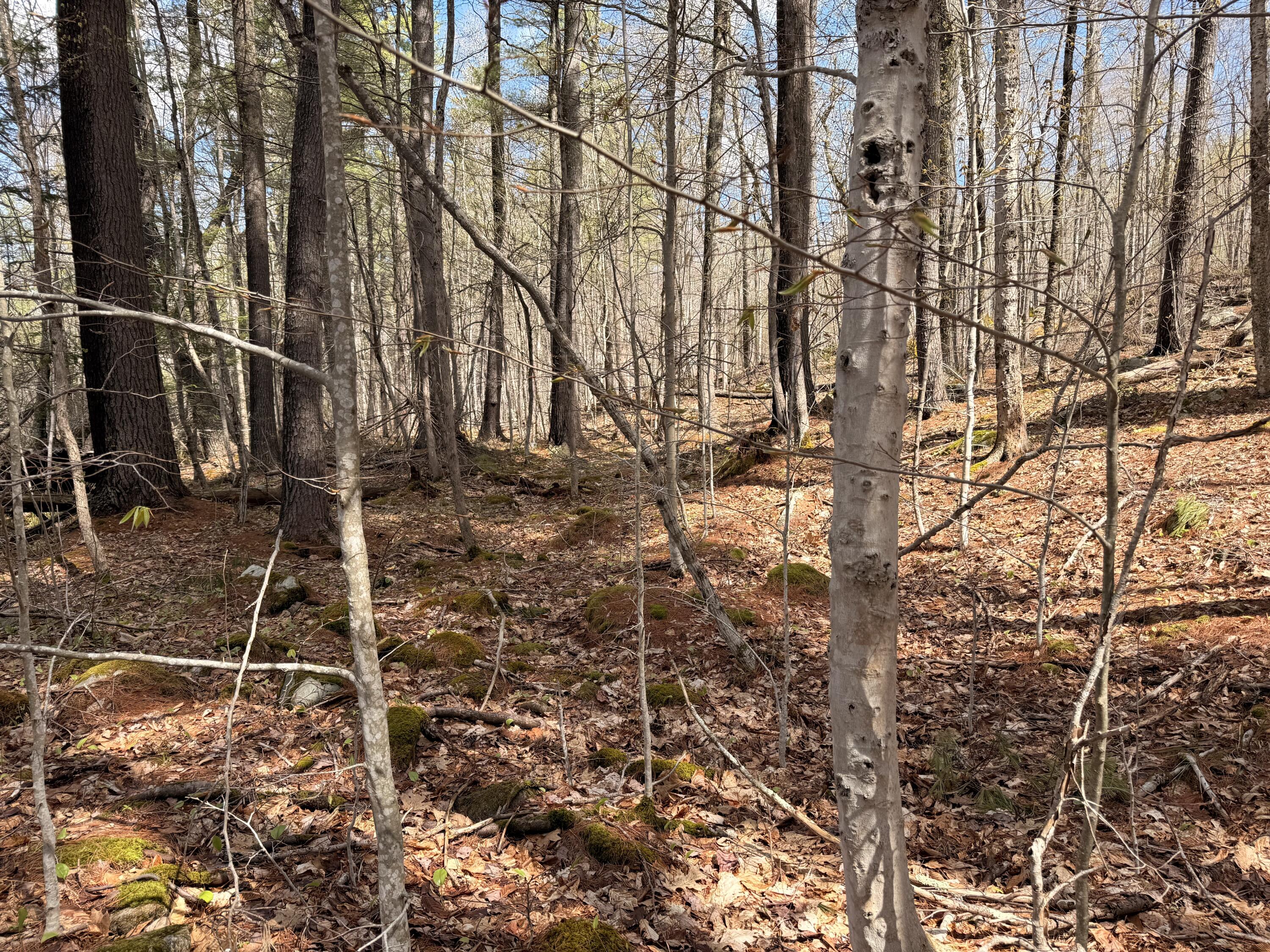 134 D Thurston Road Augusta, ME 04330 - Photo 14 of 20 IMG_0312