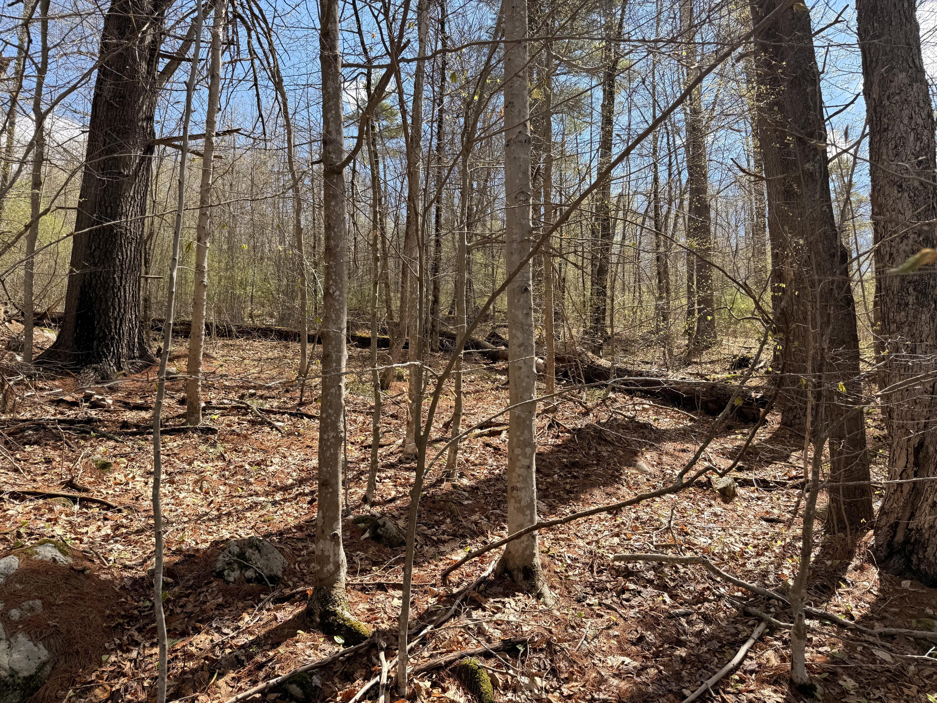134 D Thurston Road Augusta, ME 04330 - Photo 15 of 20 IMG_0313