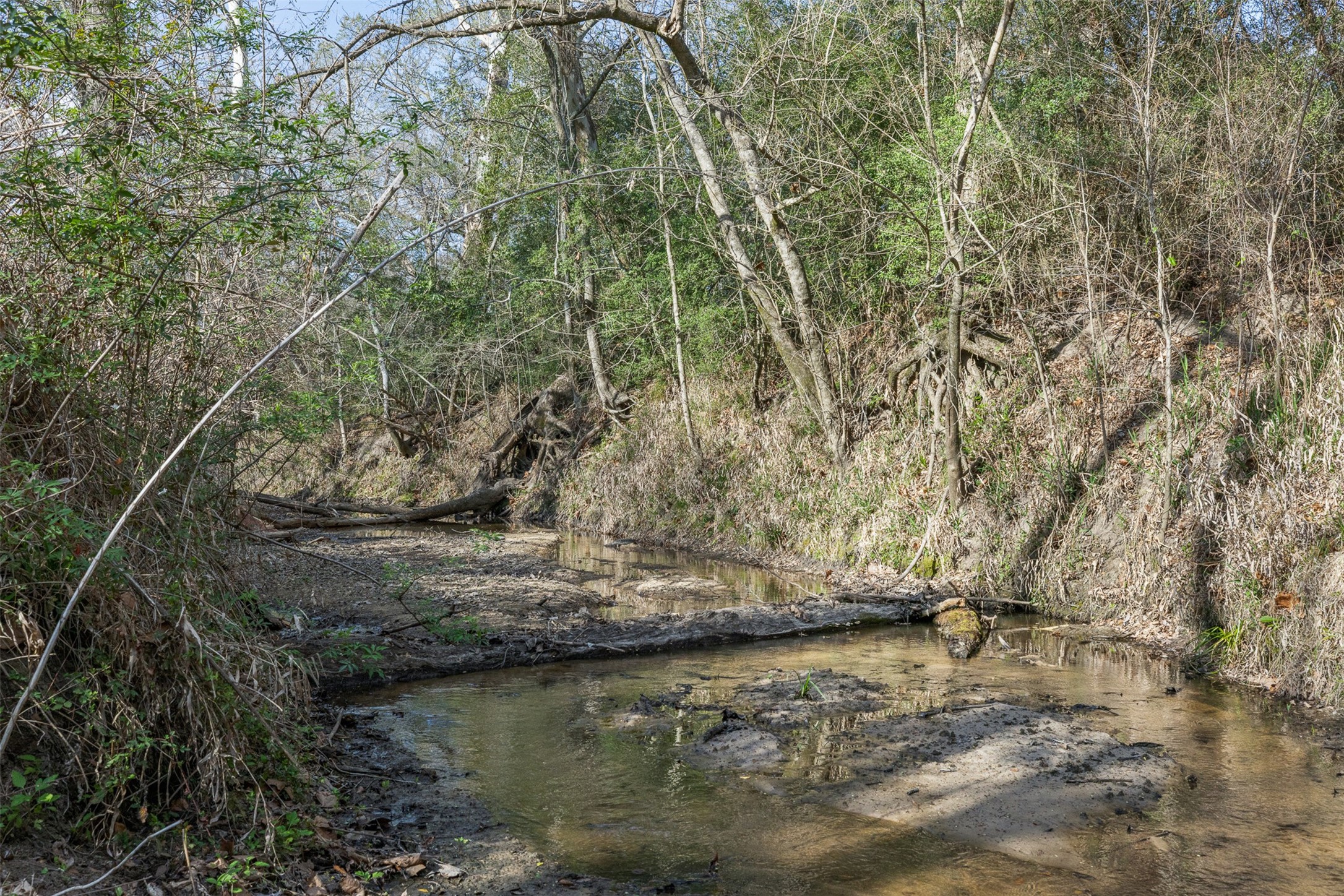 15294 Lake Road Bellville, TX 77418 - Photo 35 of 50