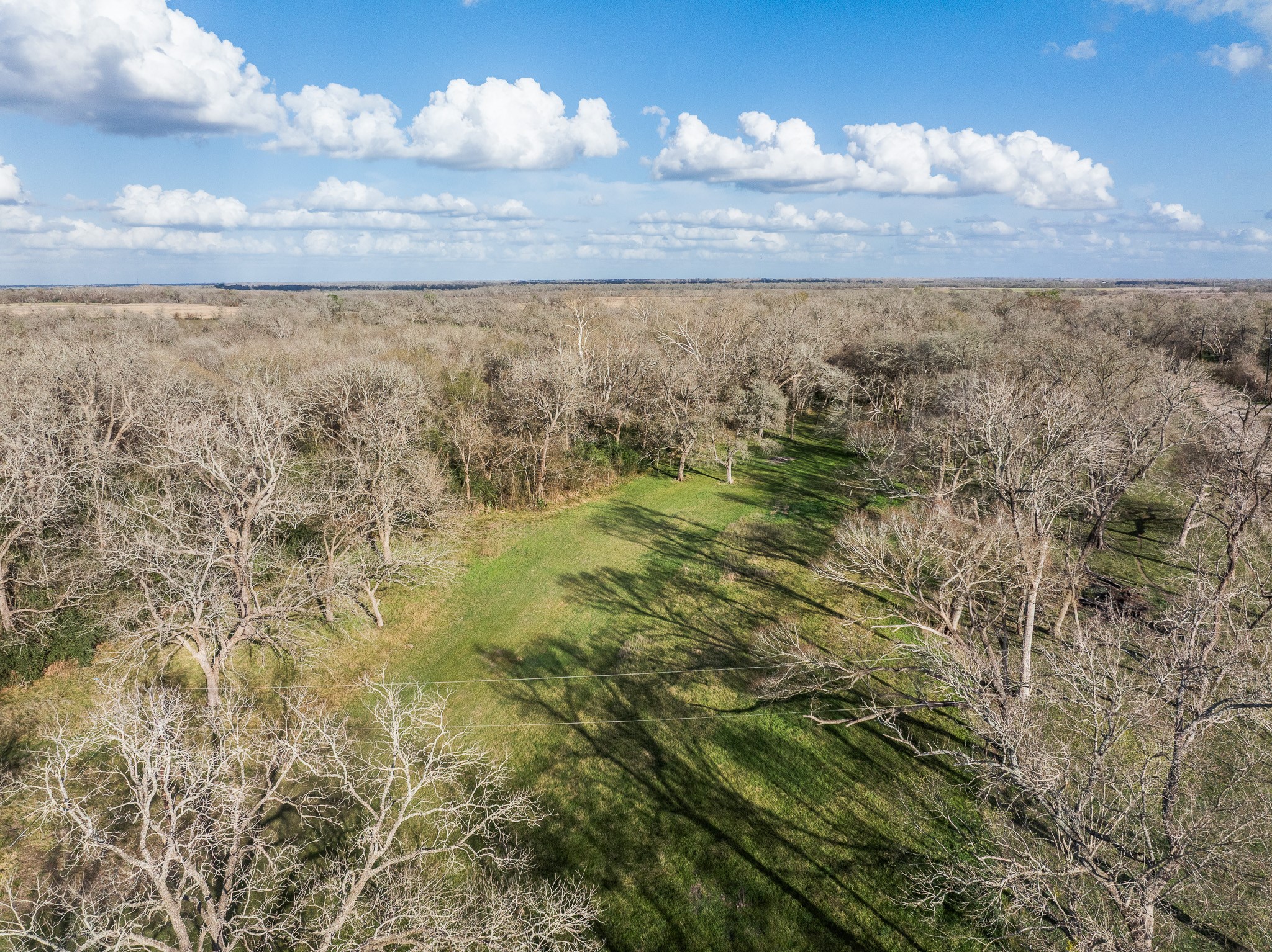 15294 Lake Road Bellville, TX 77418 - Photo 46 of 50