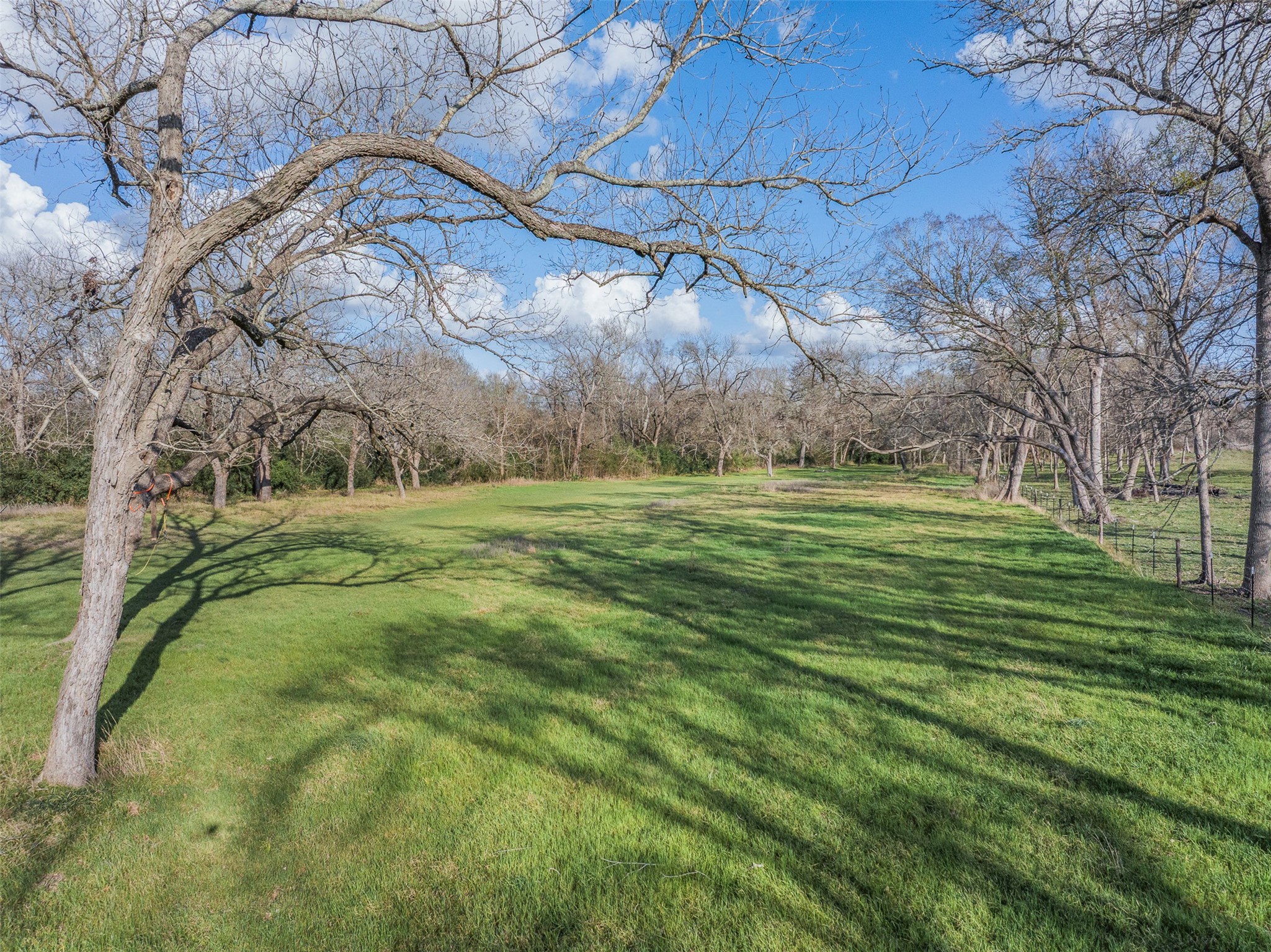 15294 Lake Road Bellville, TX 77418 - Photo 7 of 50