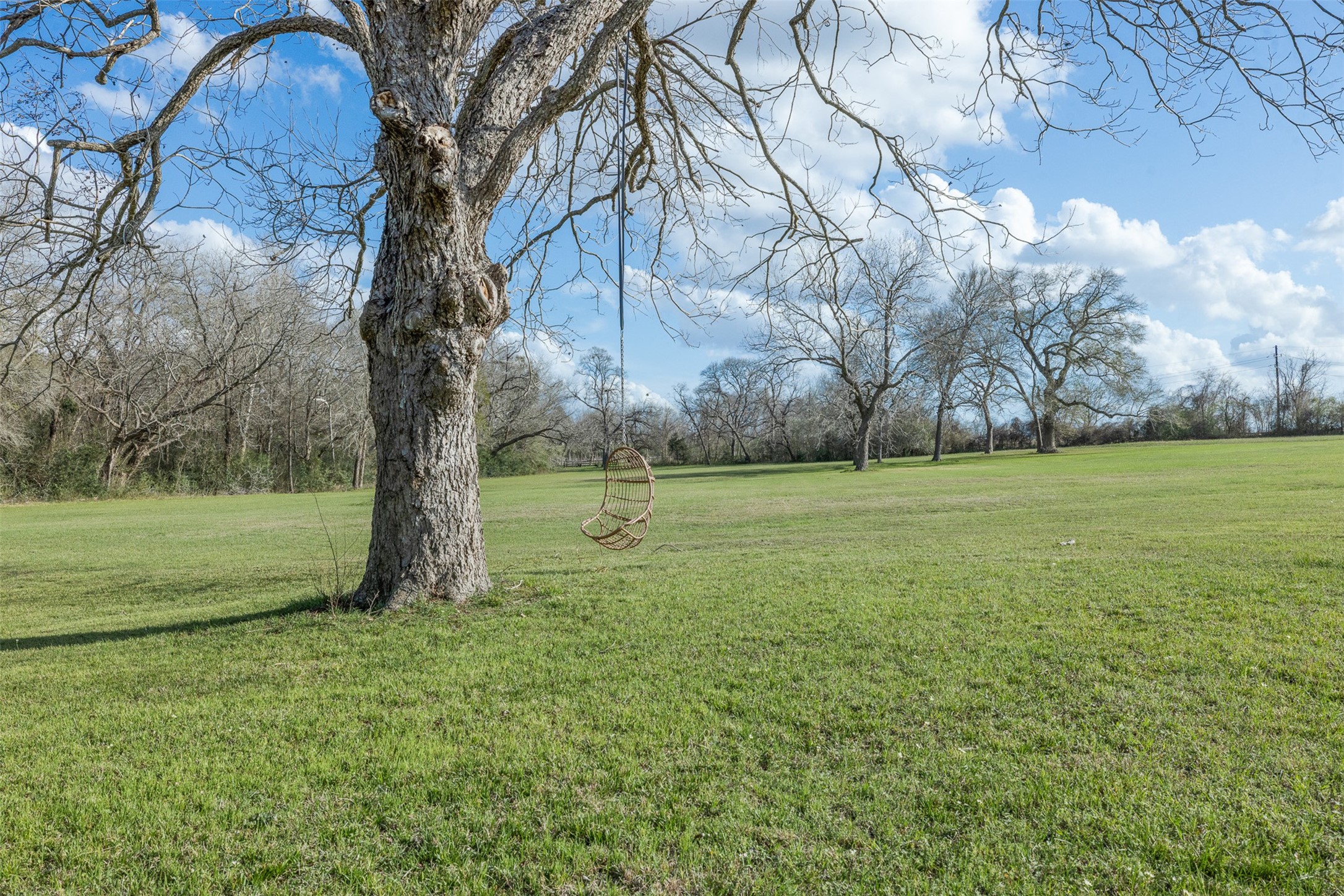 15294 Lake Road Bellville, TX 77418 - Photo 8 of 50
