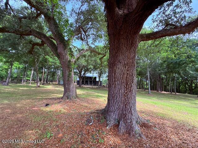 37 Fortenberry Road Tylertown, MS 39667 - Photo 12 of 83 IMG_3980
