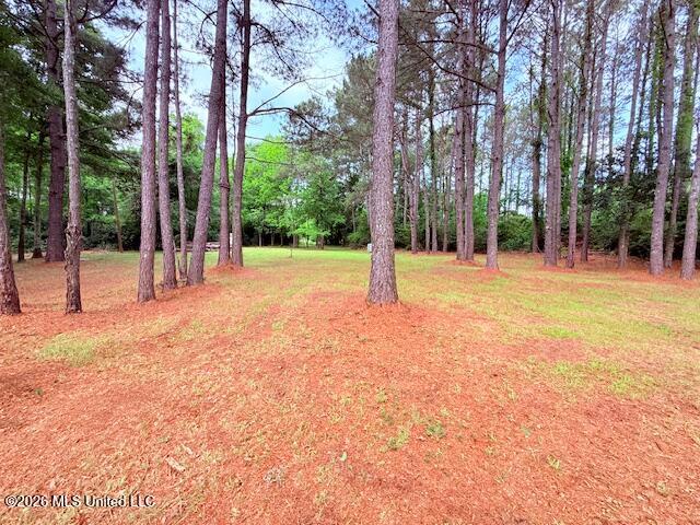 37 Fortenberry Road Tylertown, MS 39667 - Photo 45 of 83 IMG_3996