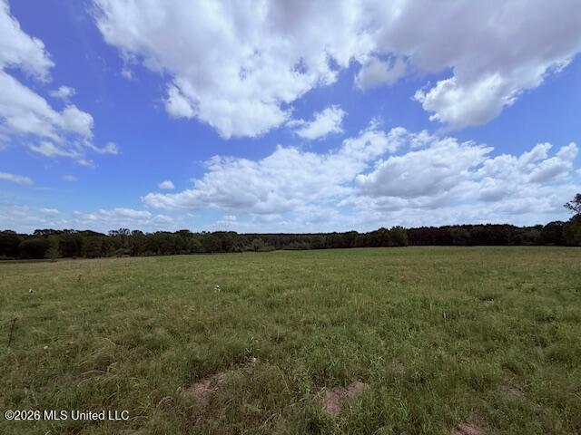 37 Fortenberry Road Tylertown, MS 39667 - Photo 50 of 83 IMG_3682 - Copy