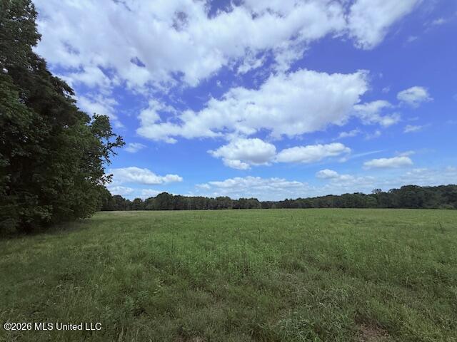 37 Fortenberry Road Tylertown, MS 39667 - Photo 51 of 83 IMG_3684 - Copy