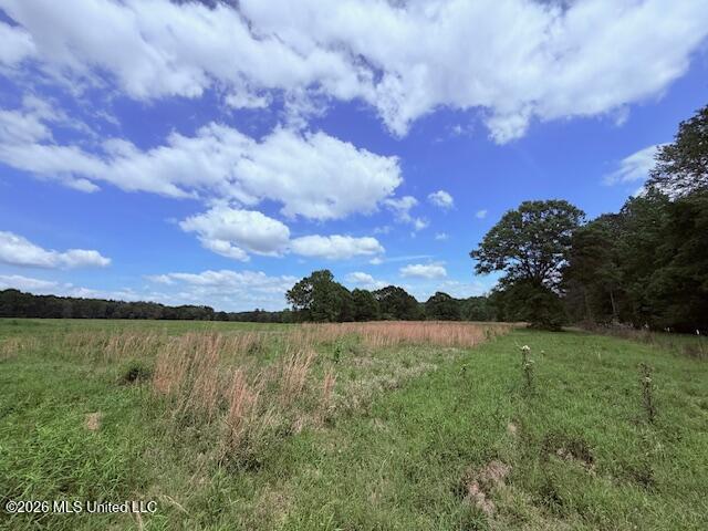 37 Fortenberry Road Tylertown, MS 39667 - Photo 53 of 83 IMG_3686 - Copy