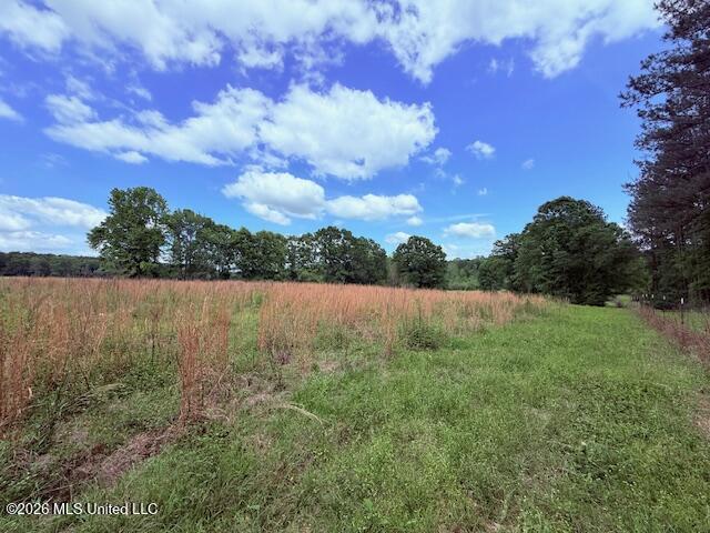 37 Fortenberry Road Tylertown, MS 39667 - Photo 55 of 83 IMG_3688 - Copy