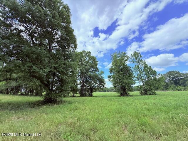 37 Fortenberry Road Tylertown, MS 39667 - Photo 58 of 83 IMG_3691 - Copy