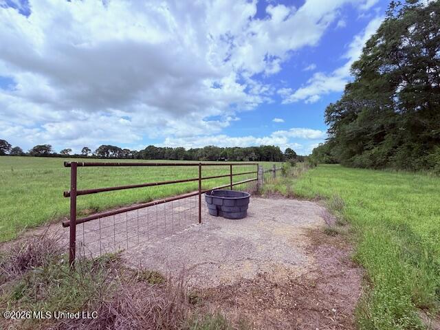 37 Fortenberry Road Tylertown, MS 39667 - Photo 61 of 83 IMG_3694 - Copy